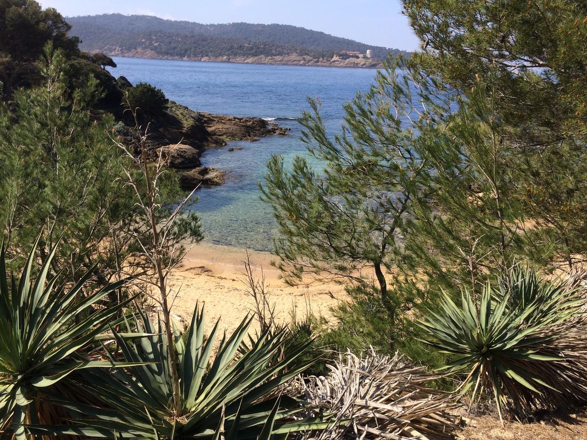 LA BRISE MARINE HOTEL LIBERTIN NATURISTE ÎLE DU LEVANT France de HOTELMIX